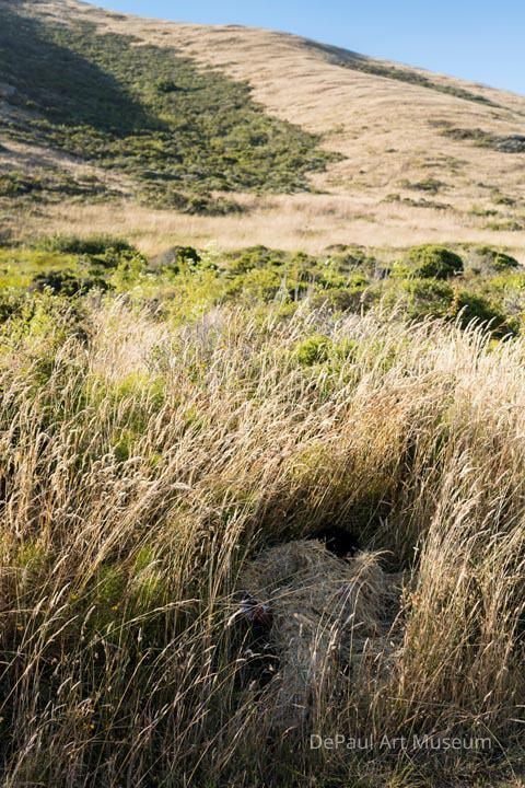 Disappearance Suit (Marin Headlands, CA)