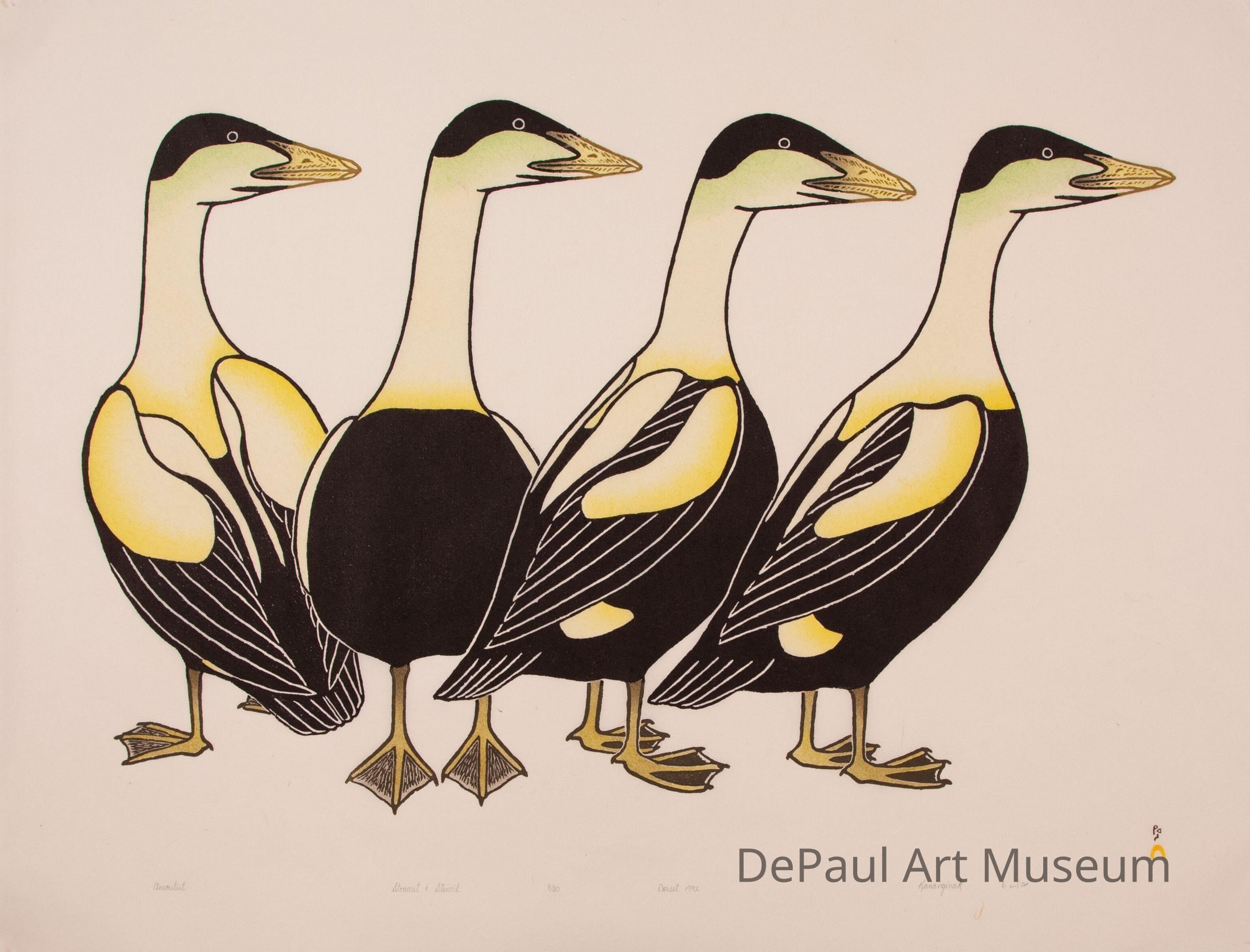 Amouliit (King Eider Ducks)