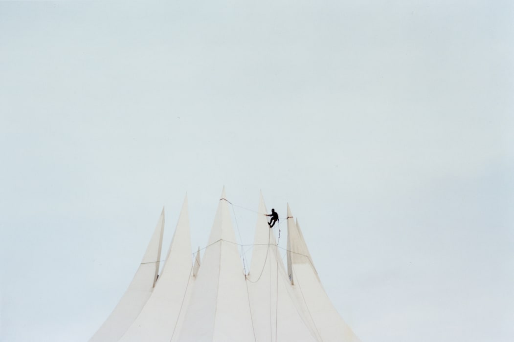A Man and Some Birds #1