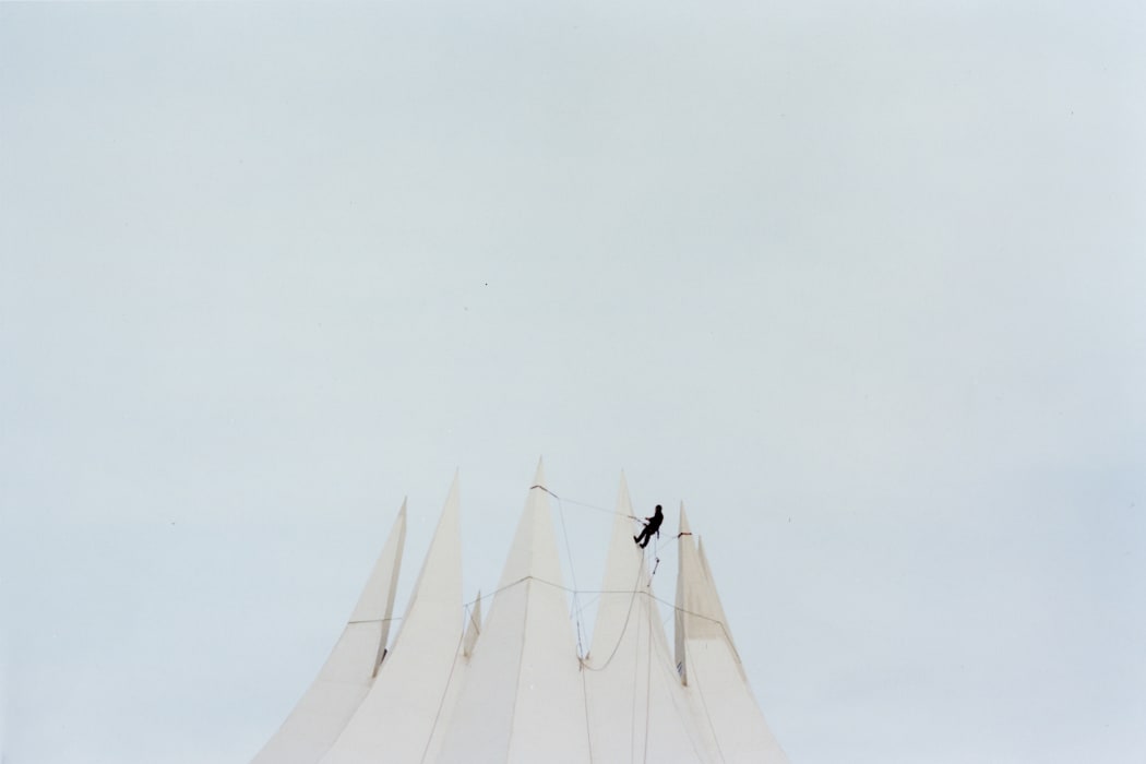 A Man and Some Birds #2