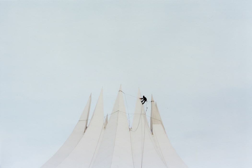 A Man and Some Birds #3