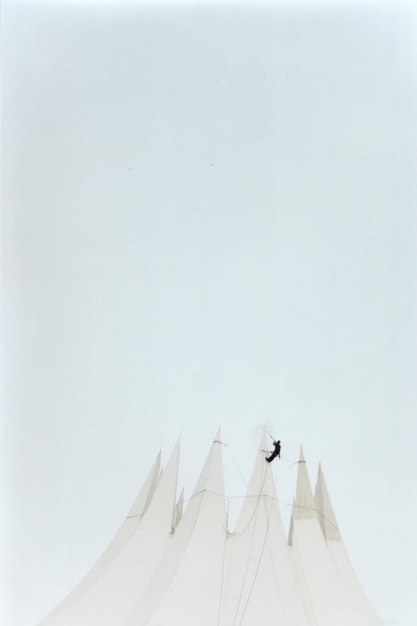 A Man and Some Birds #4