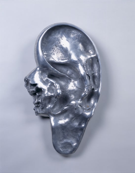 Ear