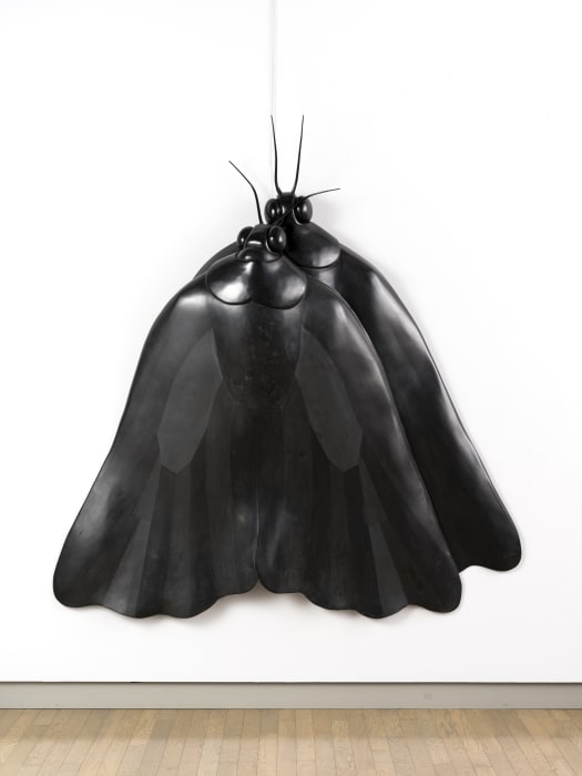 Moth 2