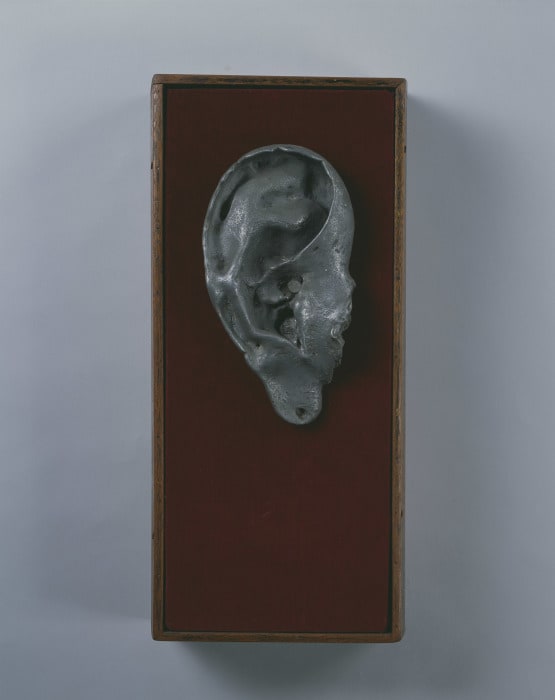 Ear