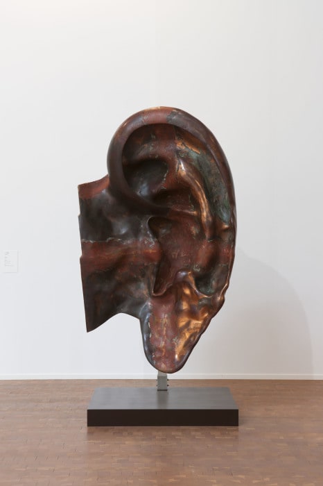 Ear