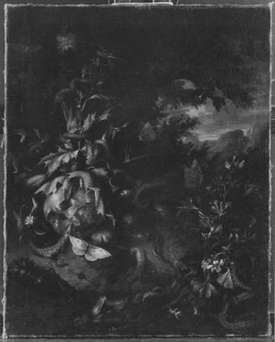 Stillleben-Vanitas