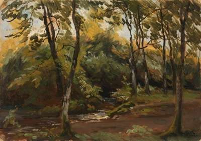 Waldlandschaft