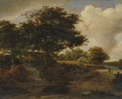 Waldlandschaft