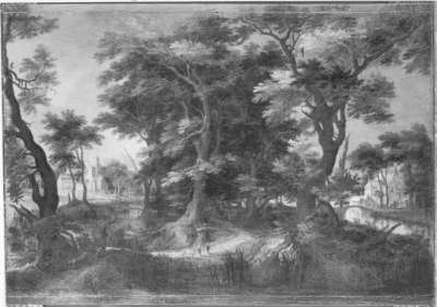 Waldlandschaft