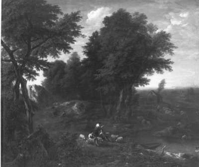 Waldlandschaft