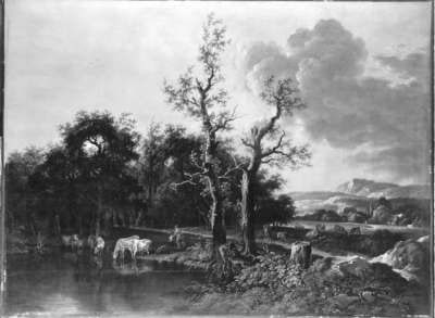 Waldrand mit Rindern am See