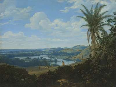 Brasilianische Landschaft mit Ameisenbär