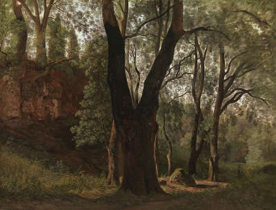 Waldinneres (Studie)
