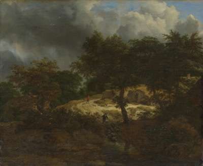 Waldlandschaft mit aufsteigendem Gewitter