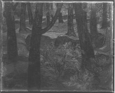 Waldinneres