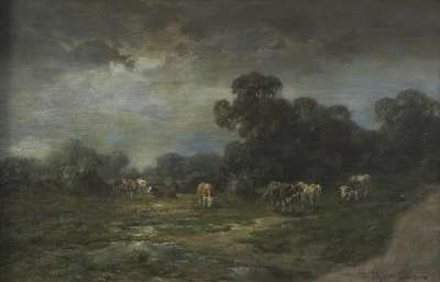Weidelandschaft