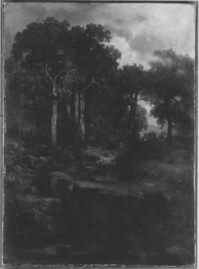 Waldlandschaft