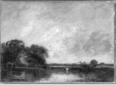 Landschaft
