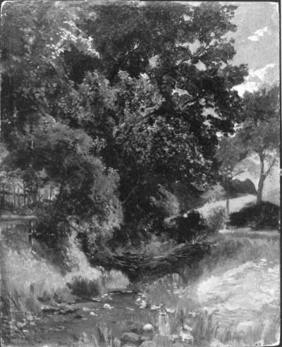 Baumgruppe am Bach