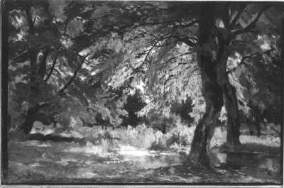 Waldinneres