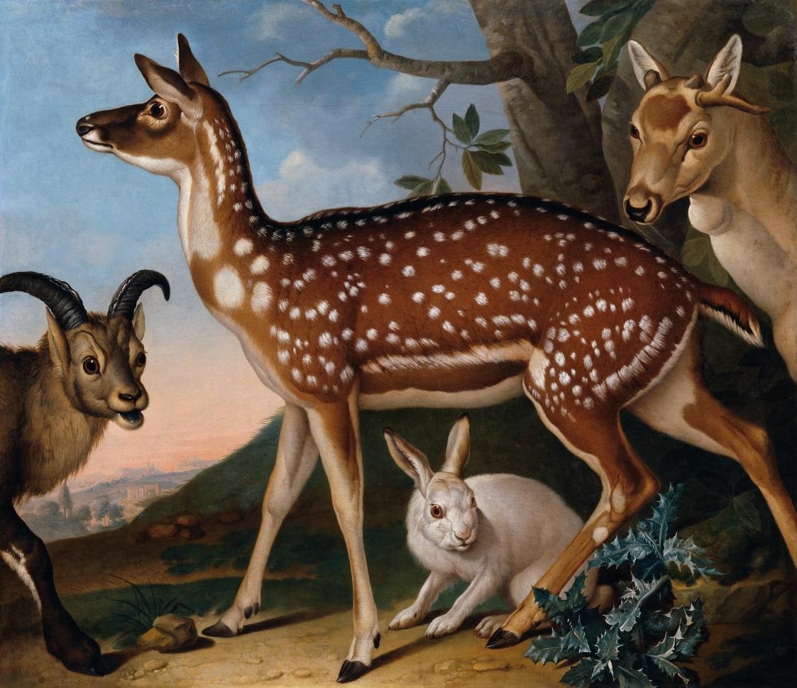 Deer, Ibex and Hare