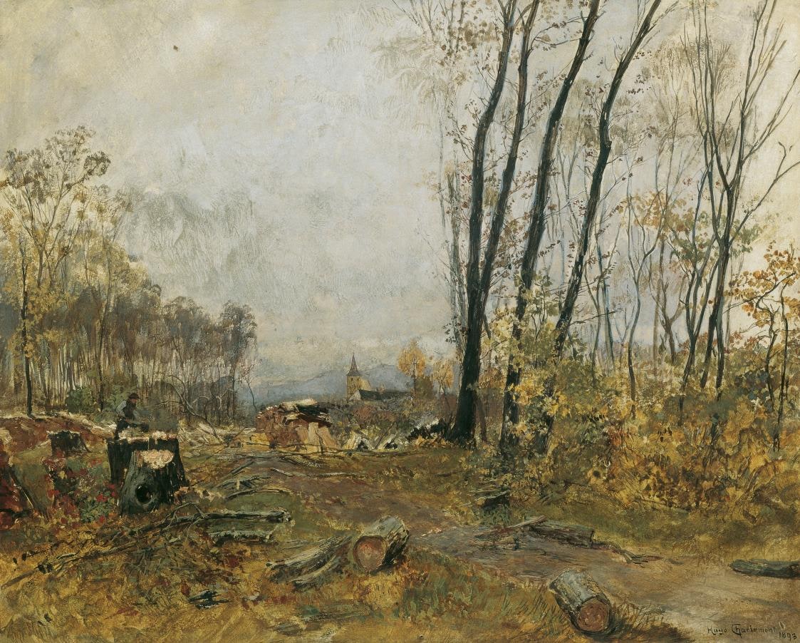 Riverside Forest near Klosterneuburg