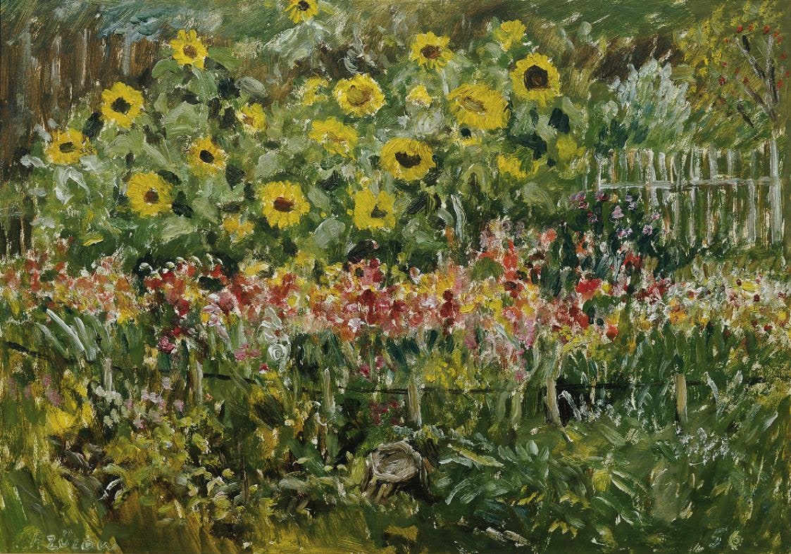SONNENROSEN UND GLADIOLEN IN MEINEM GARTEN
