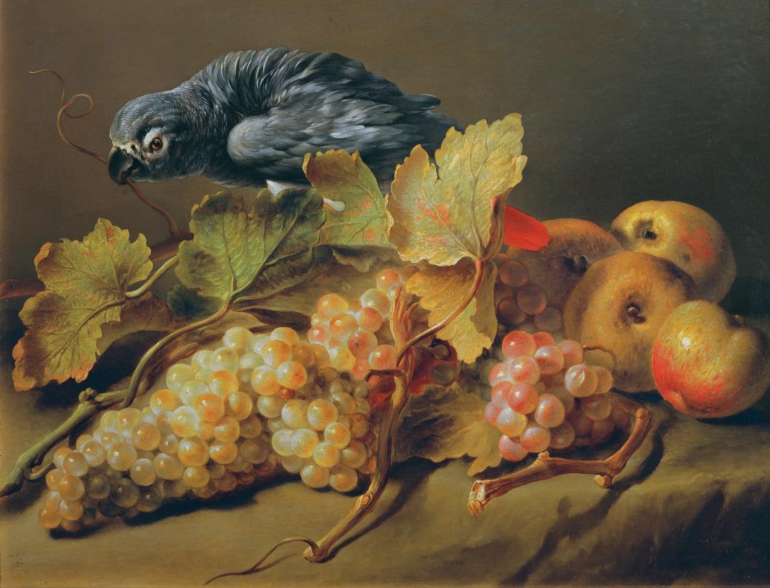 Still Life with Parrot and Grapes
