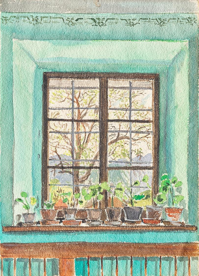 View from a Window