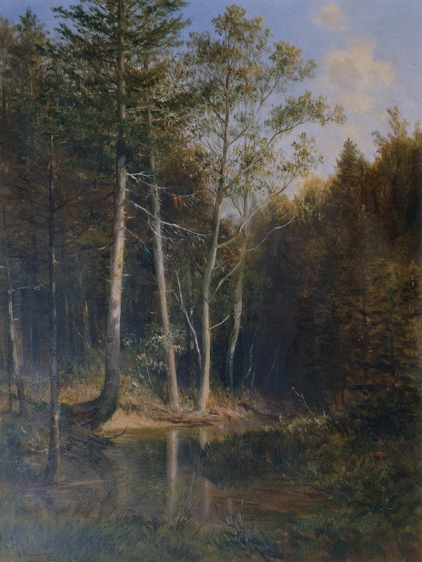 WALDPARTIE AM GERICHTSBERG BEI KAUMBERG
