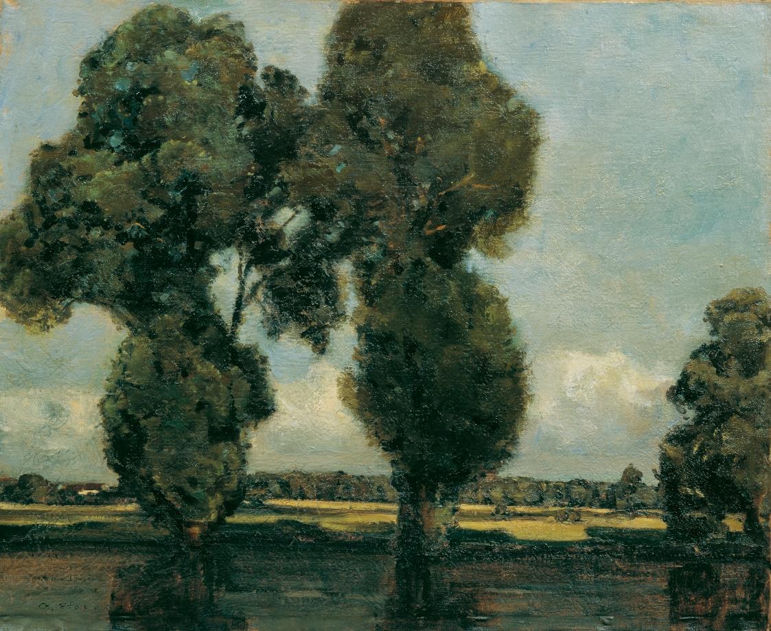 White Poplars