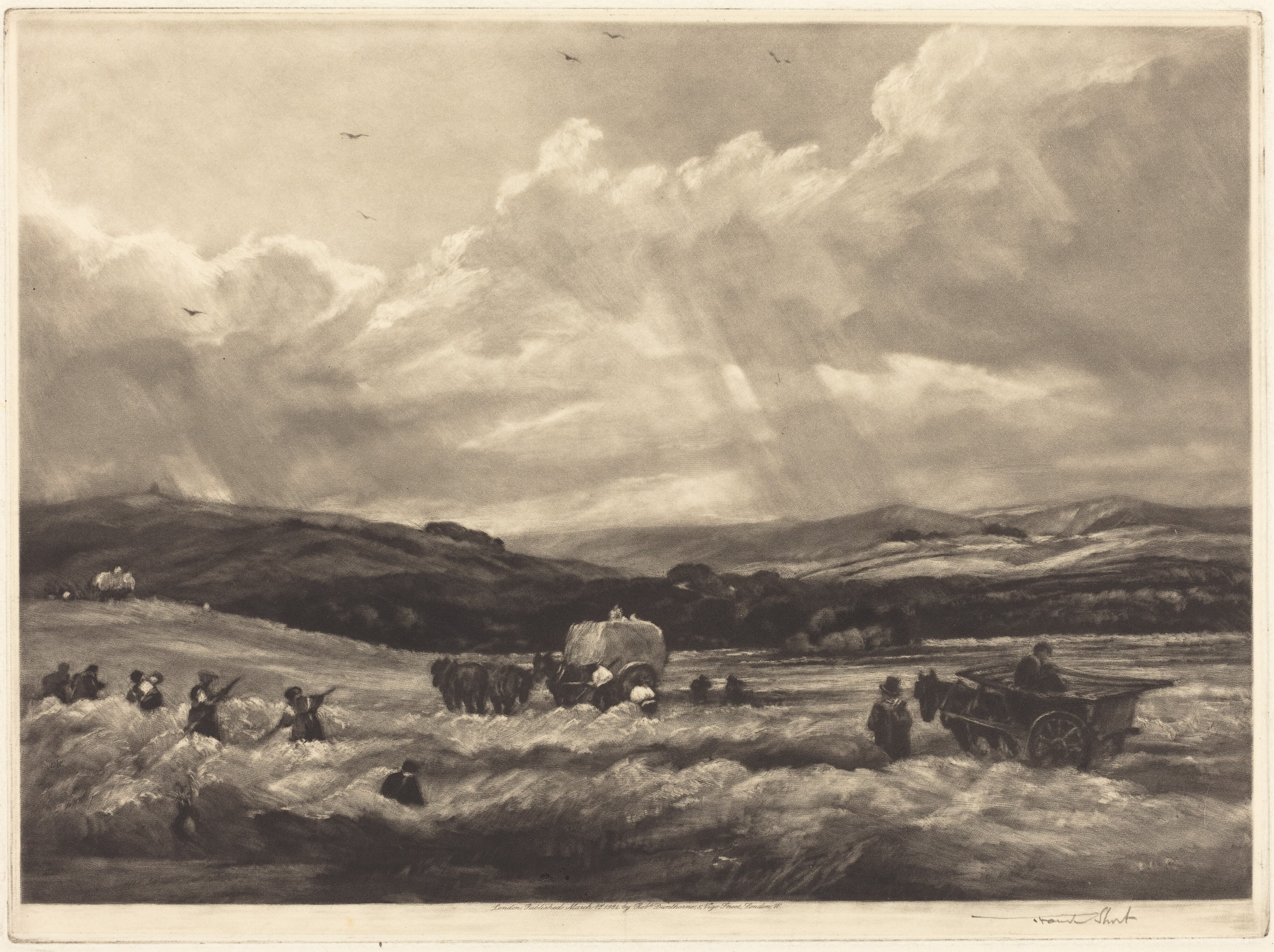 Hayfield in Yorkshire