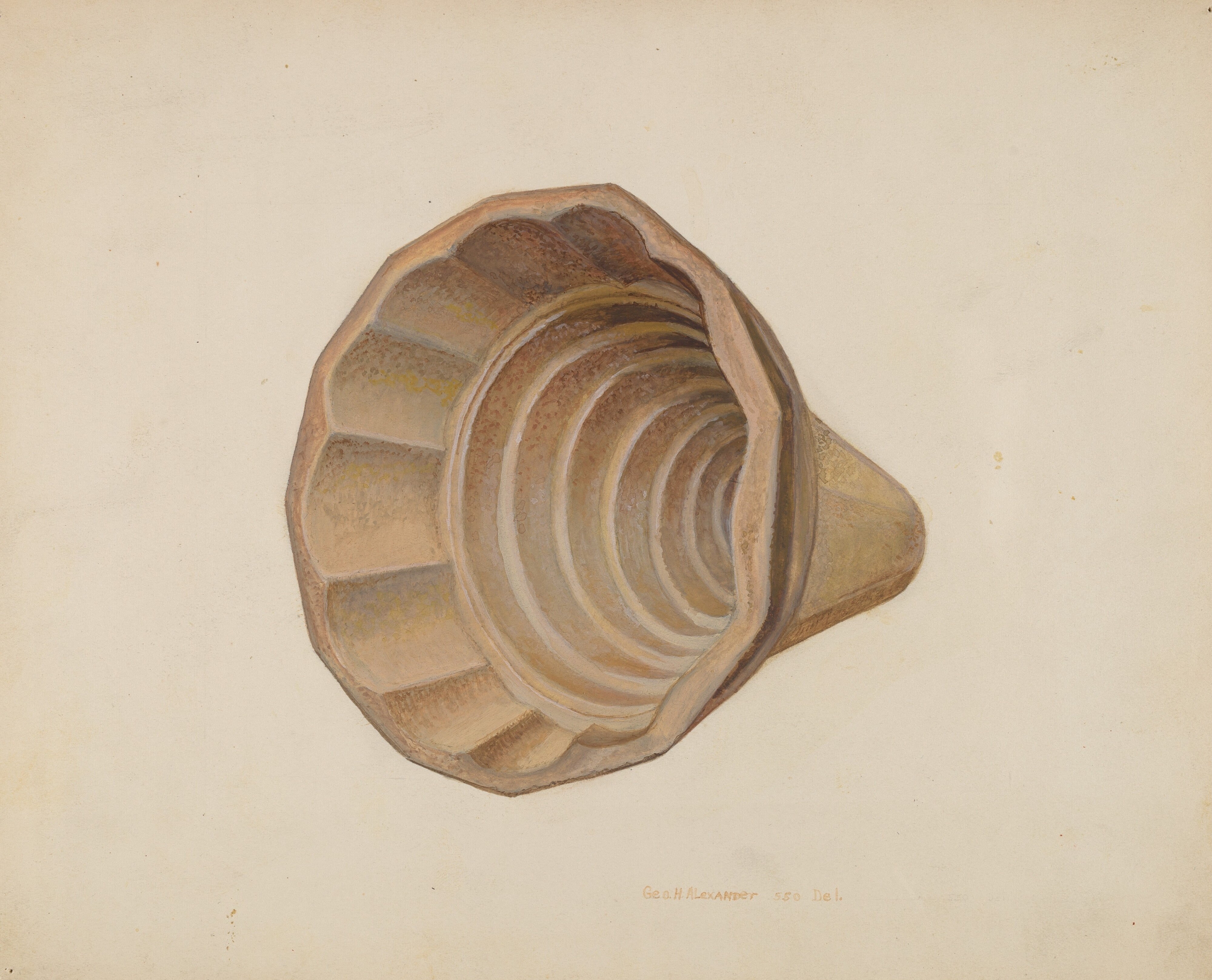 Jelly Mold