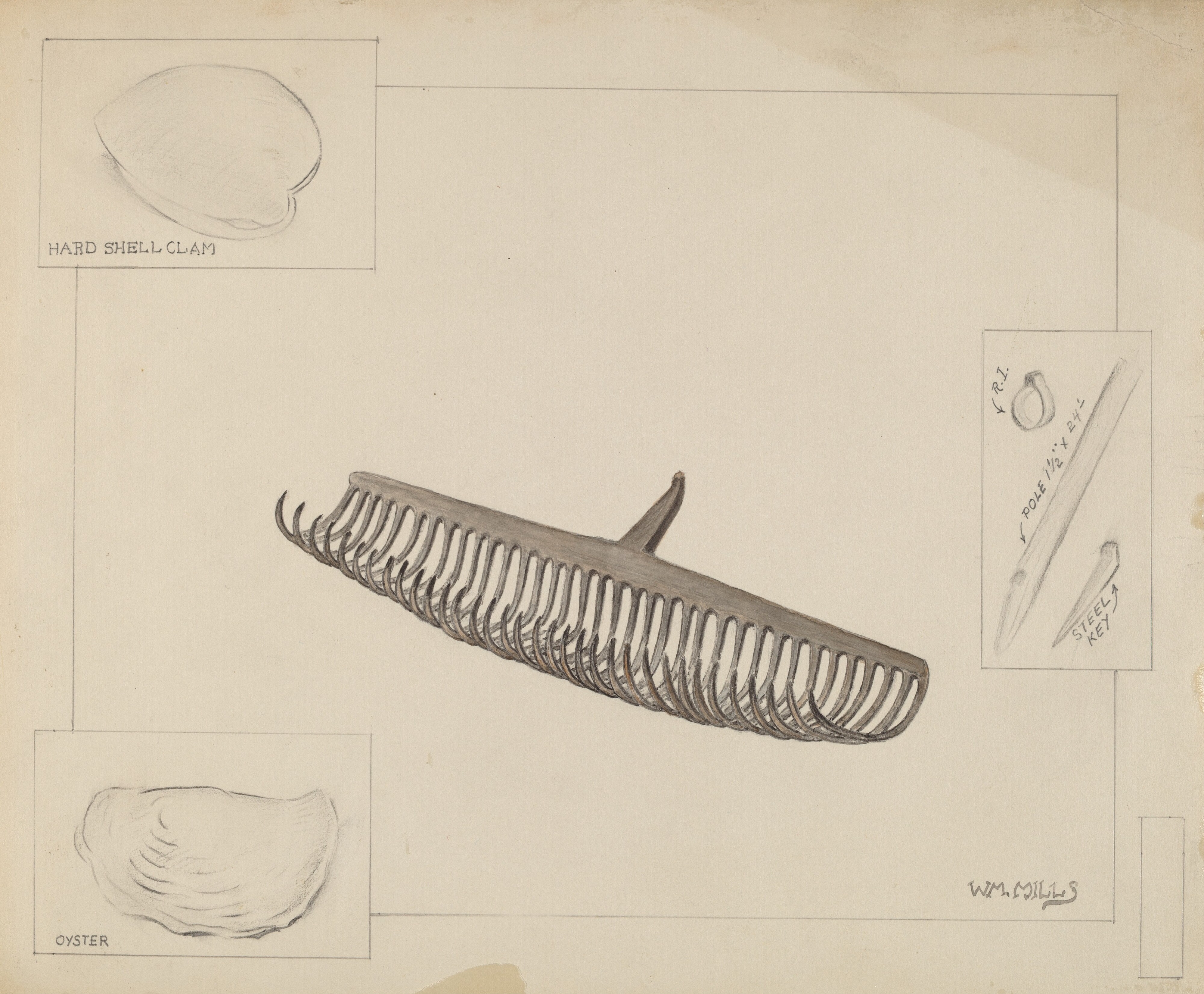Clam Rake