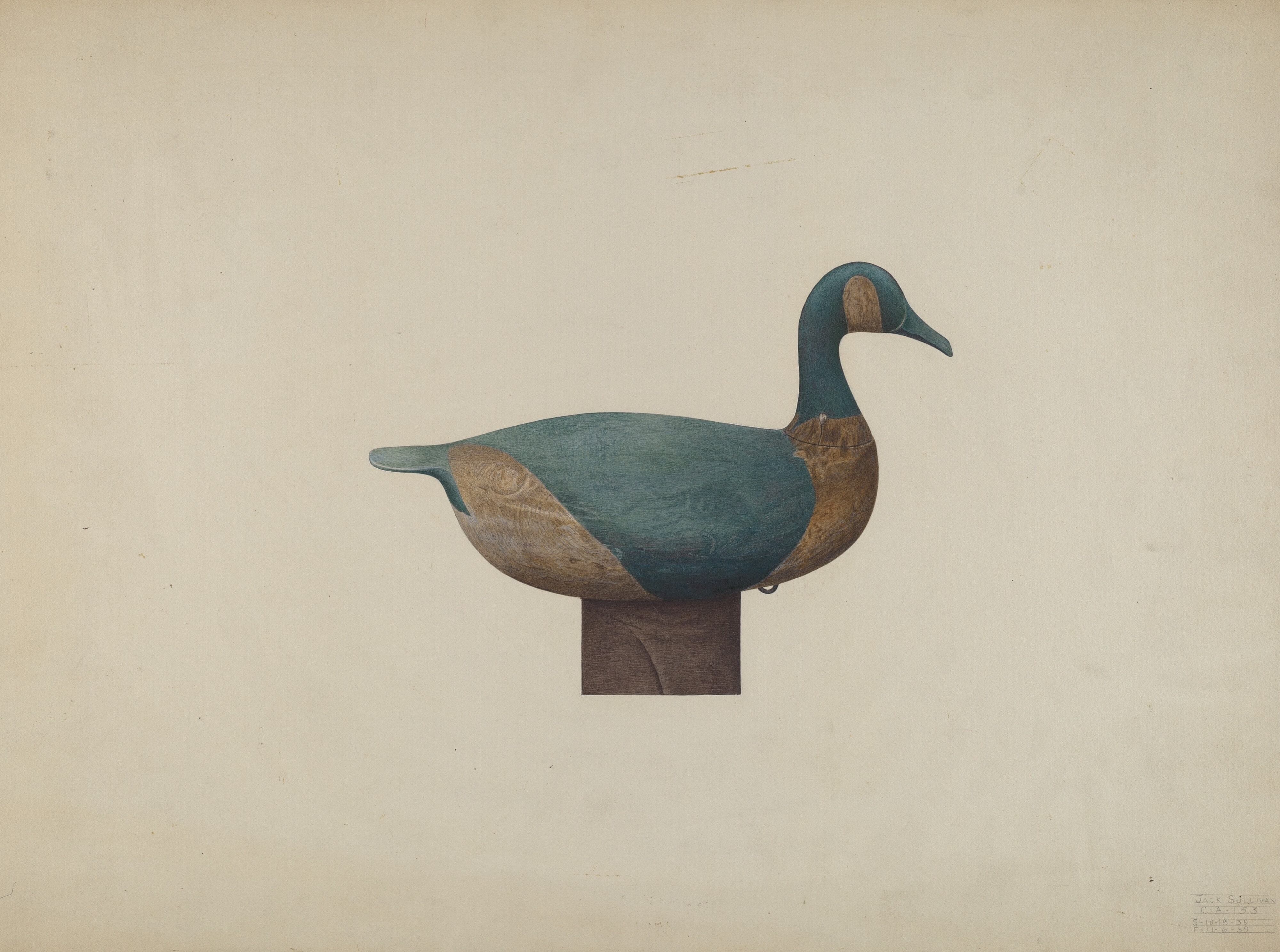 Decoy Duck
