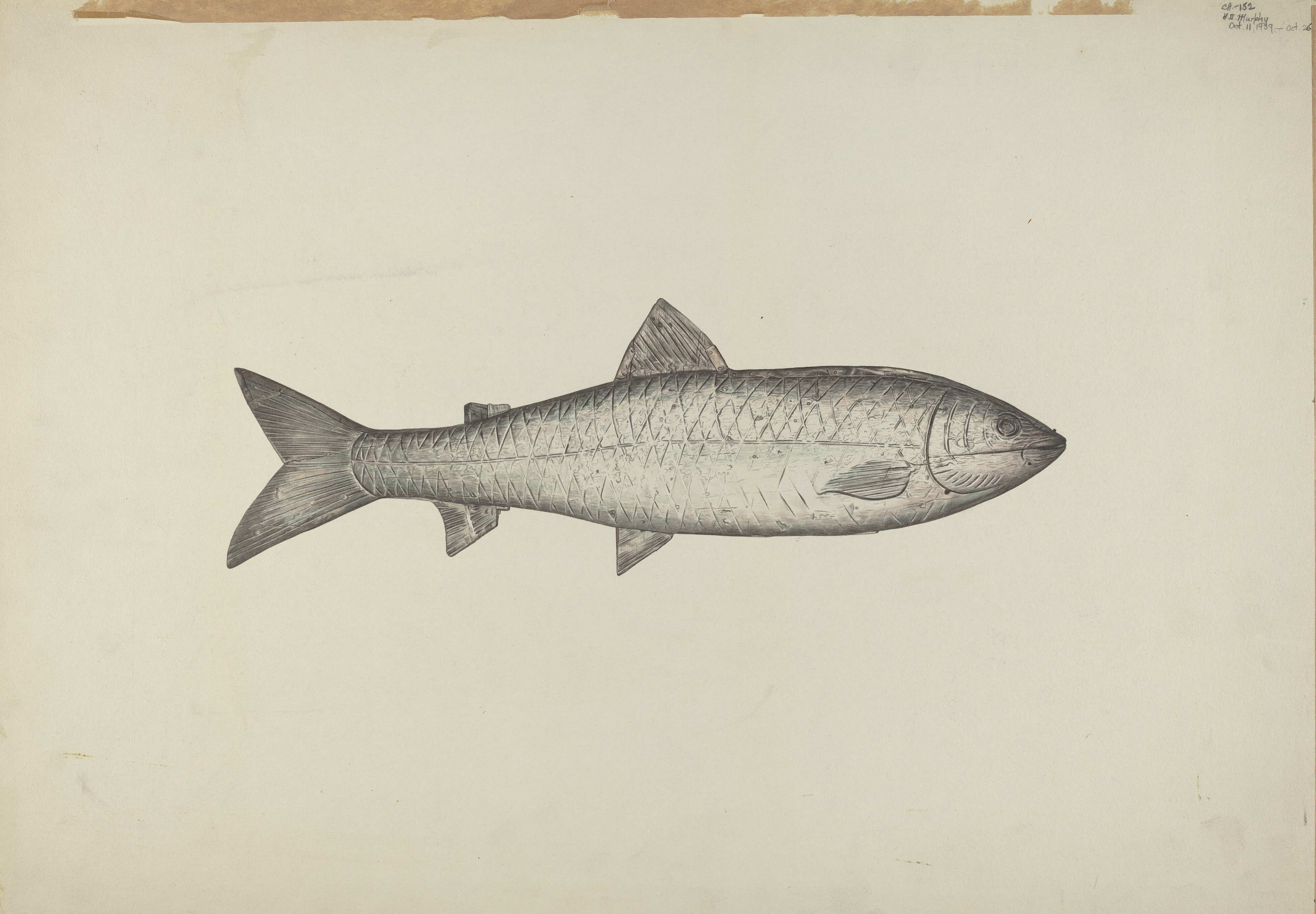 Fish Shop Sign