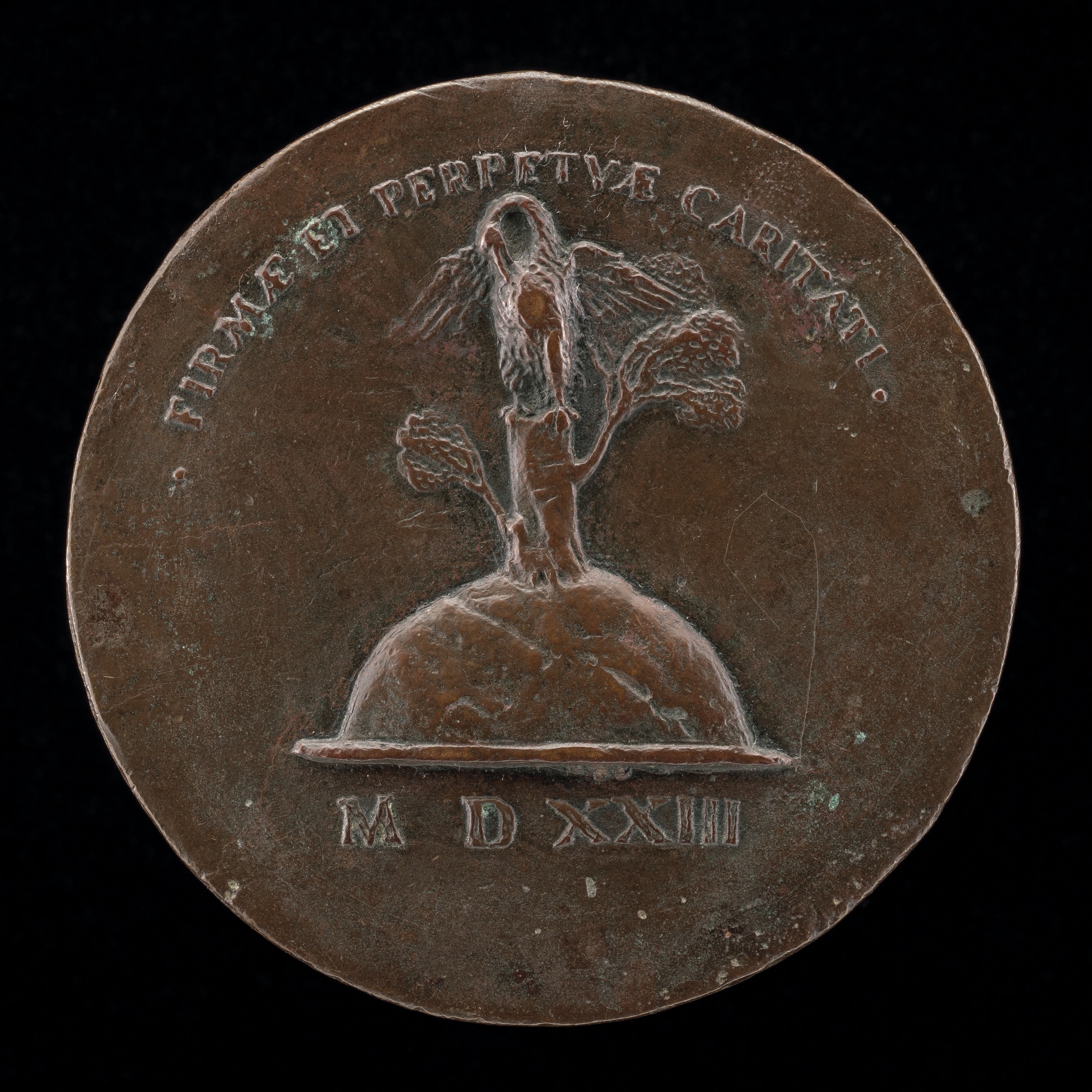 Pelican in Her Piety on a Tree Stump [reverse]