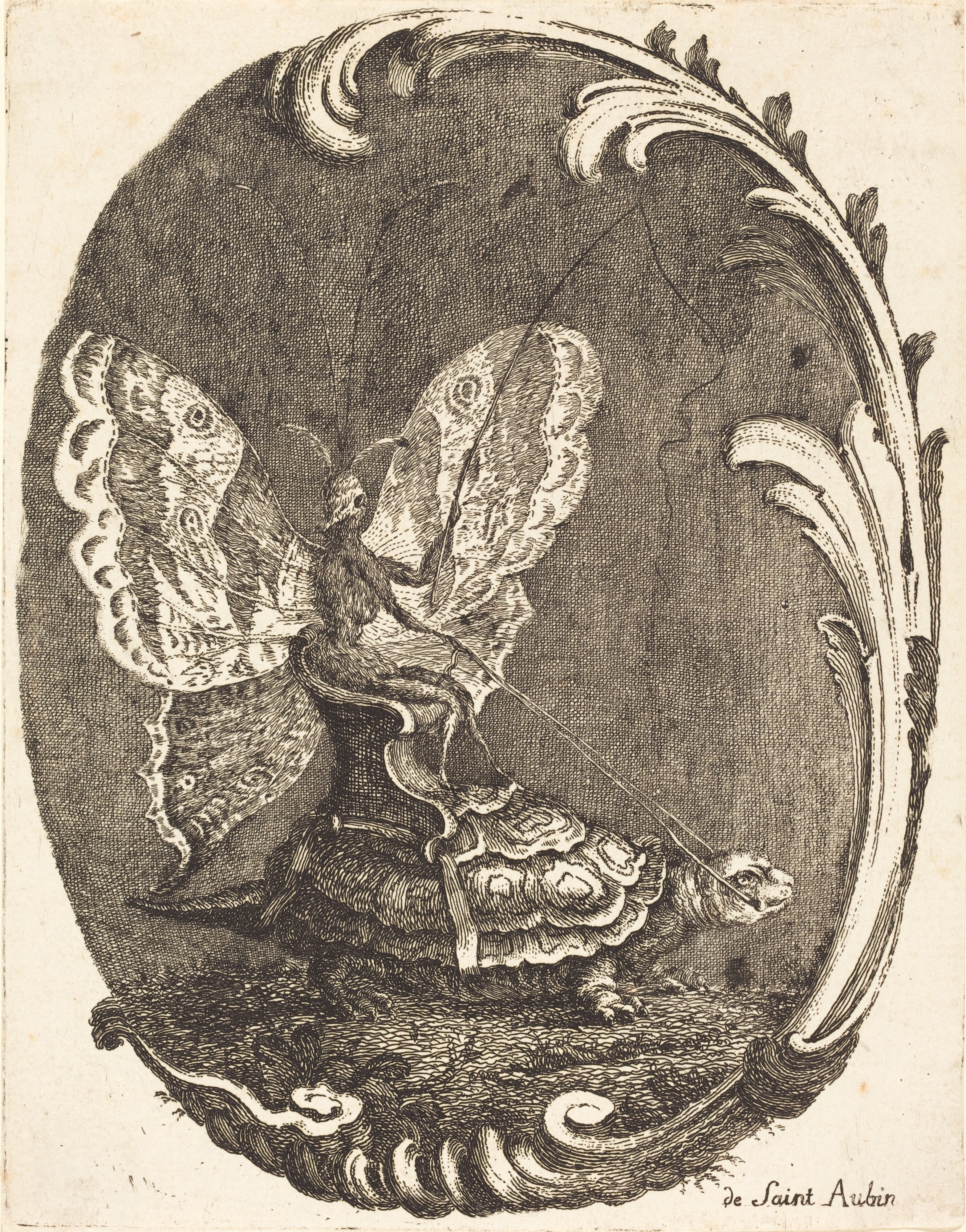 Le Papillon et la Tortue (The Butterfly and the Turtle)