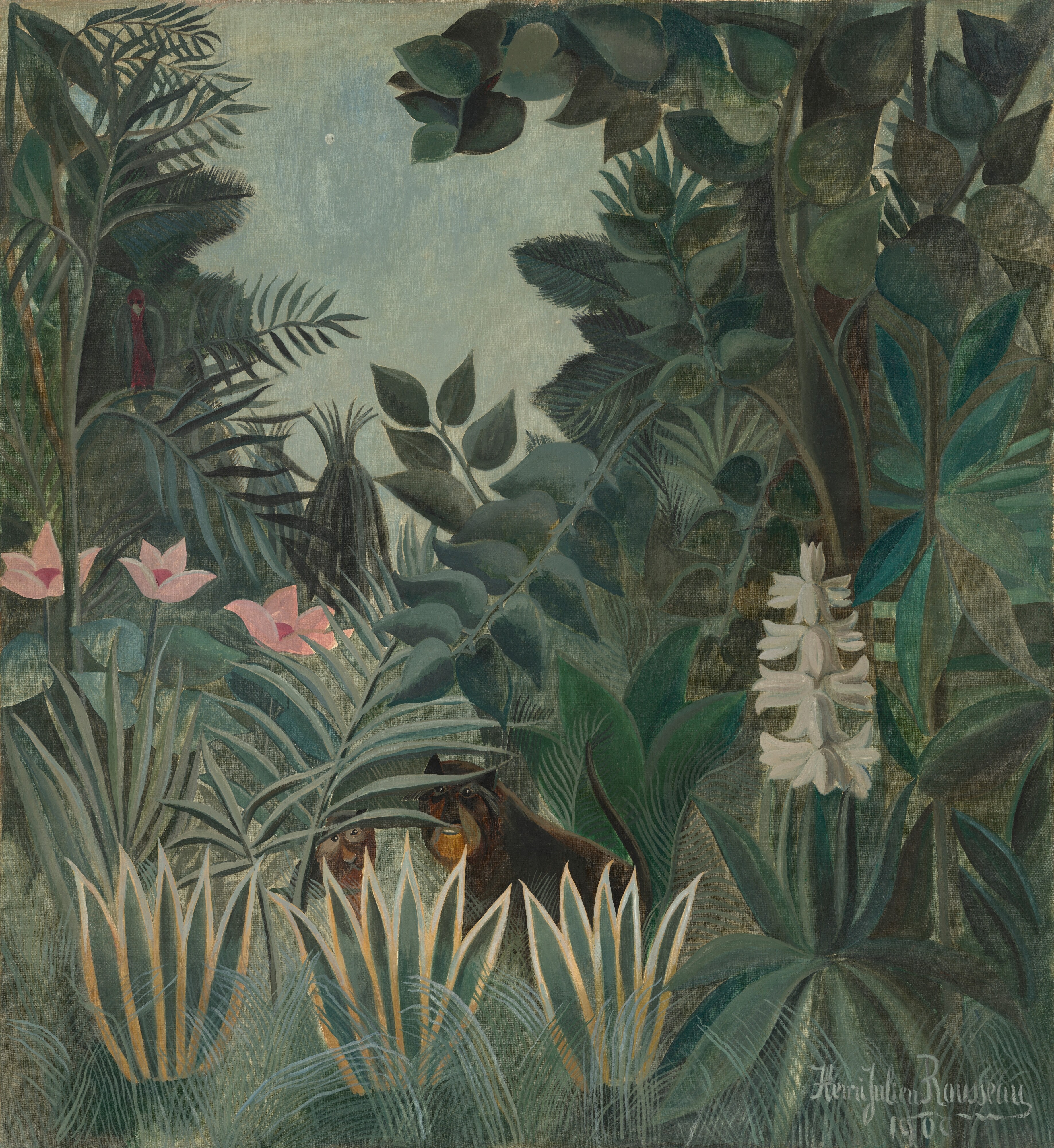 The Equatorial Jungle
