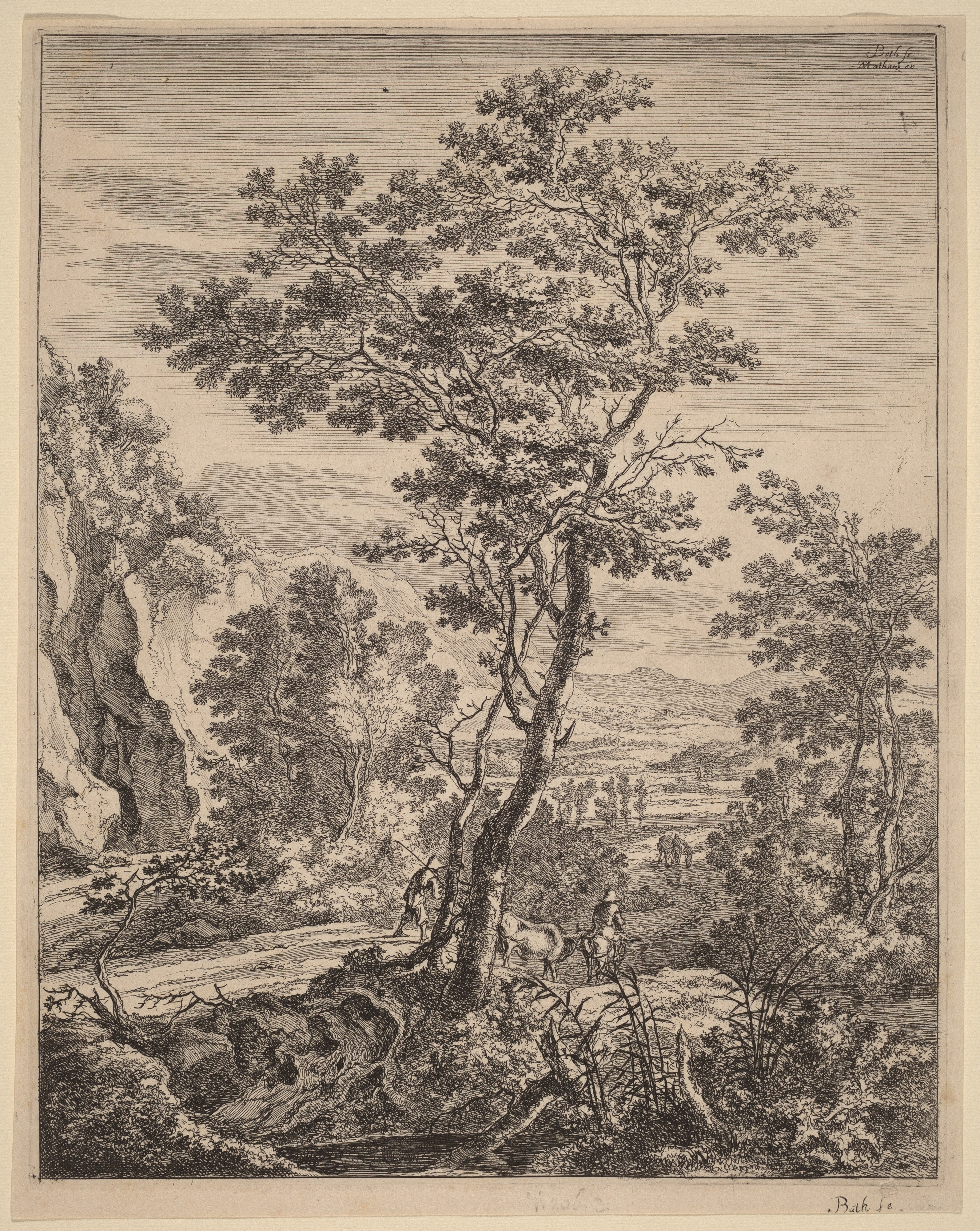 The Large Tree