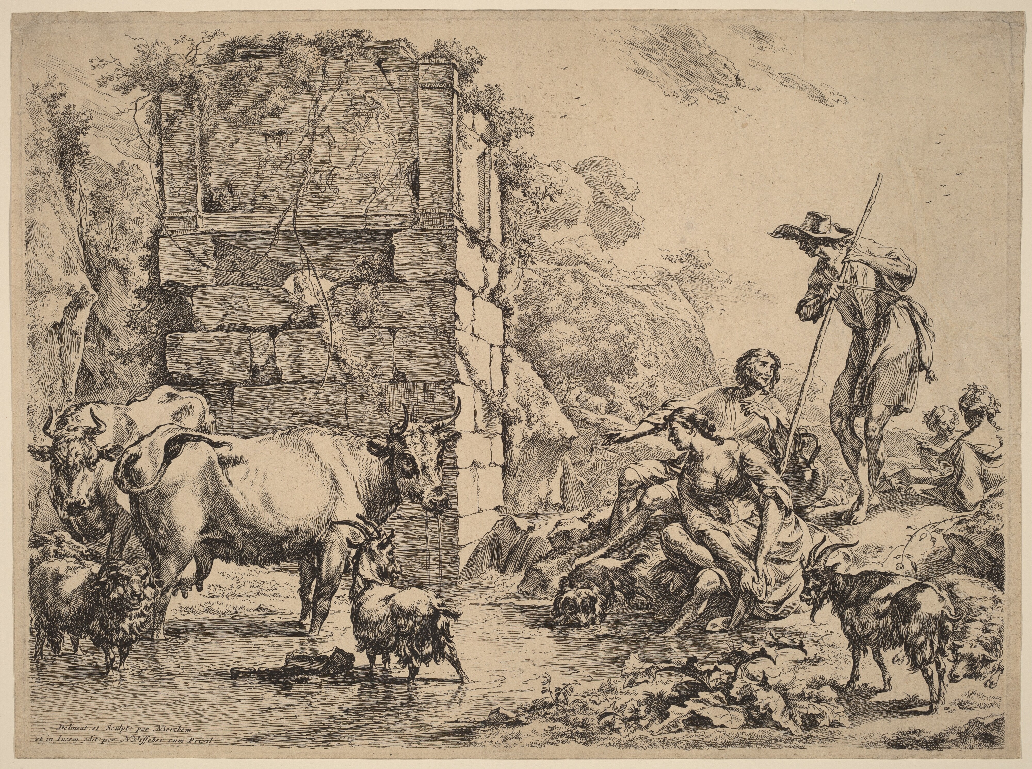 Cow Drinking