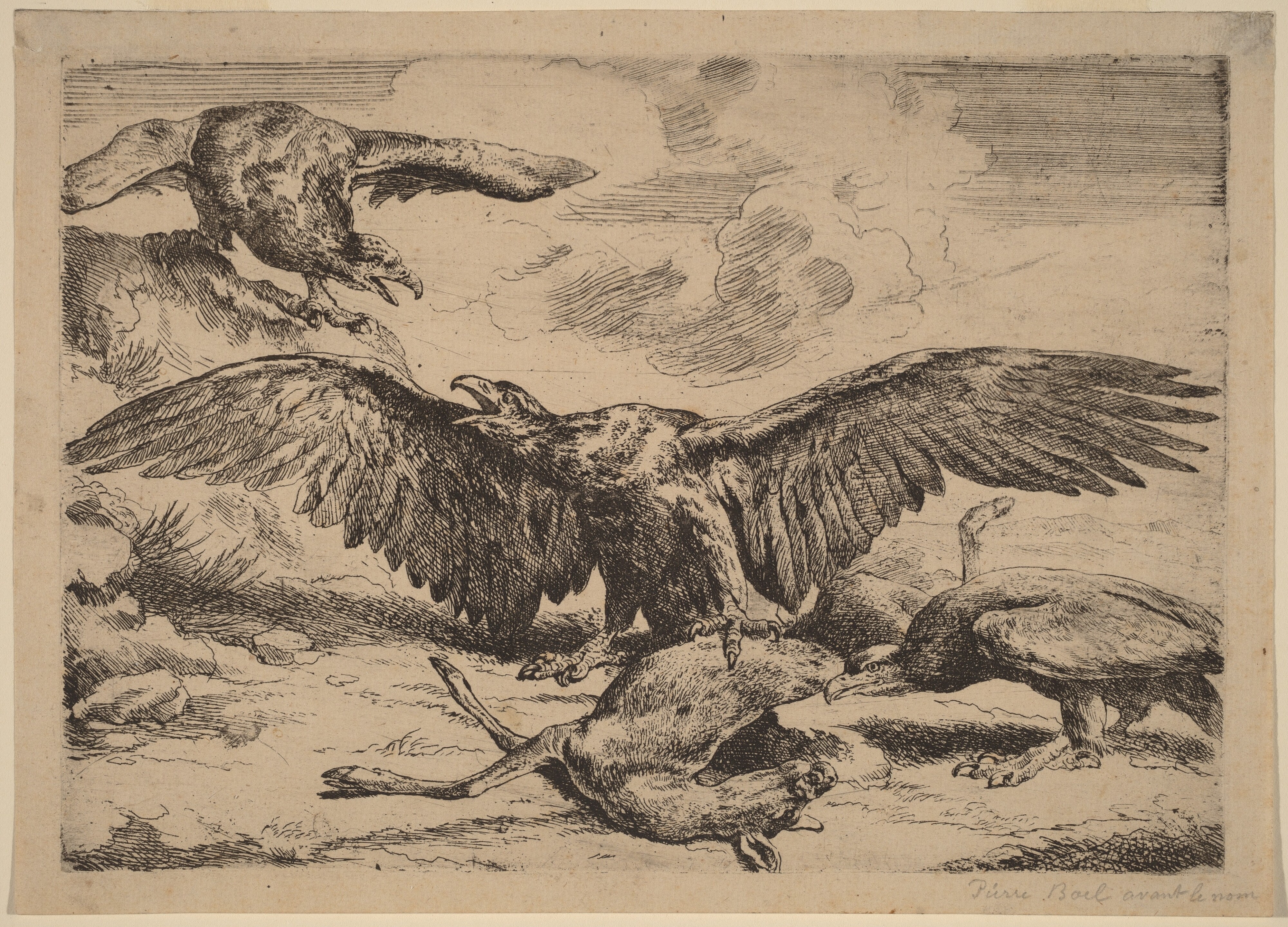 Eagles