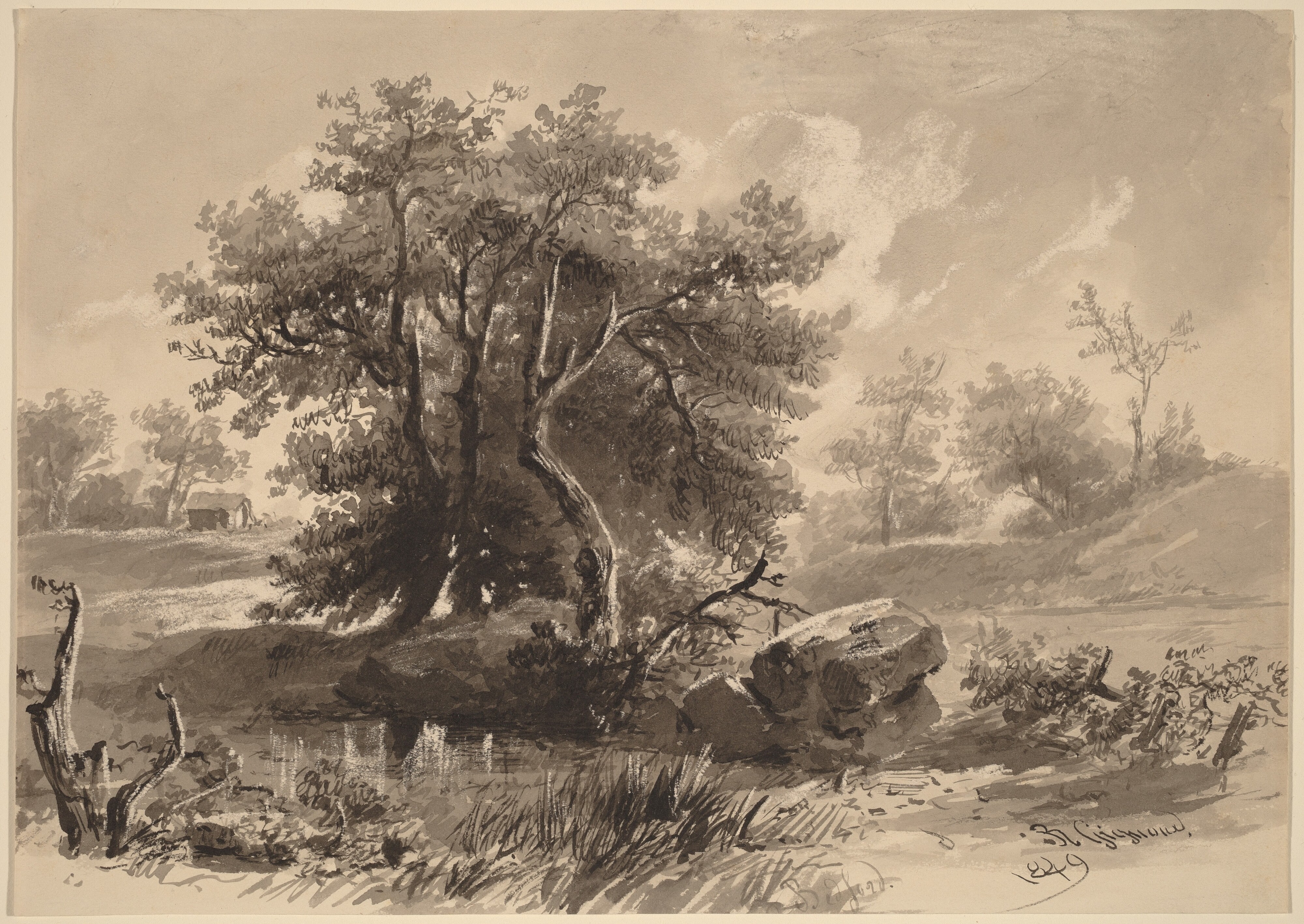 The Trees, Bedford, New York
