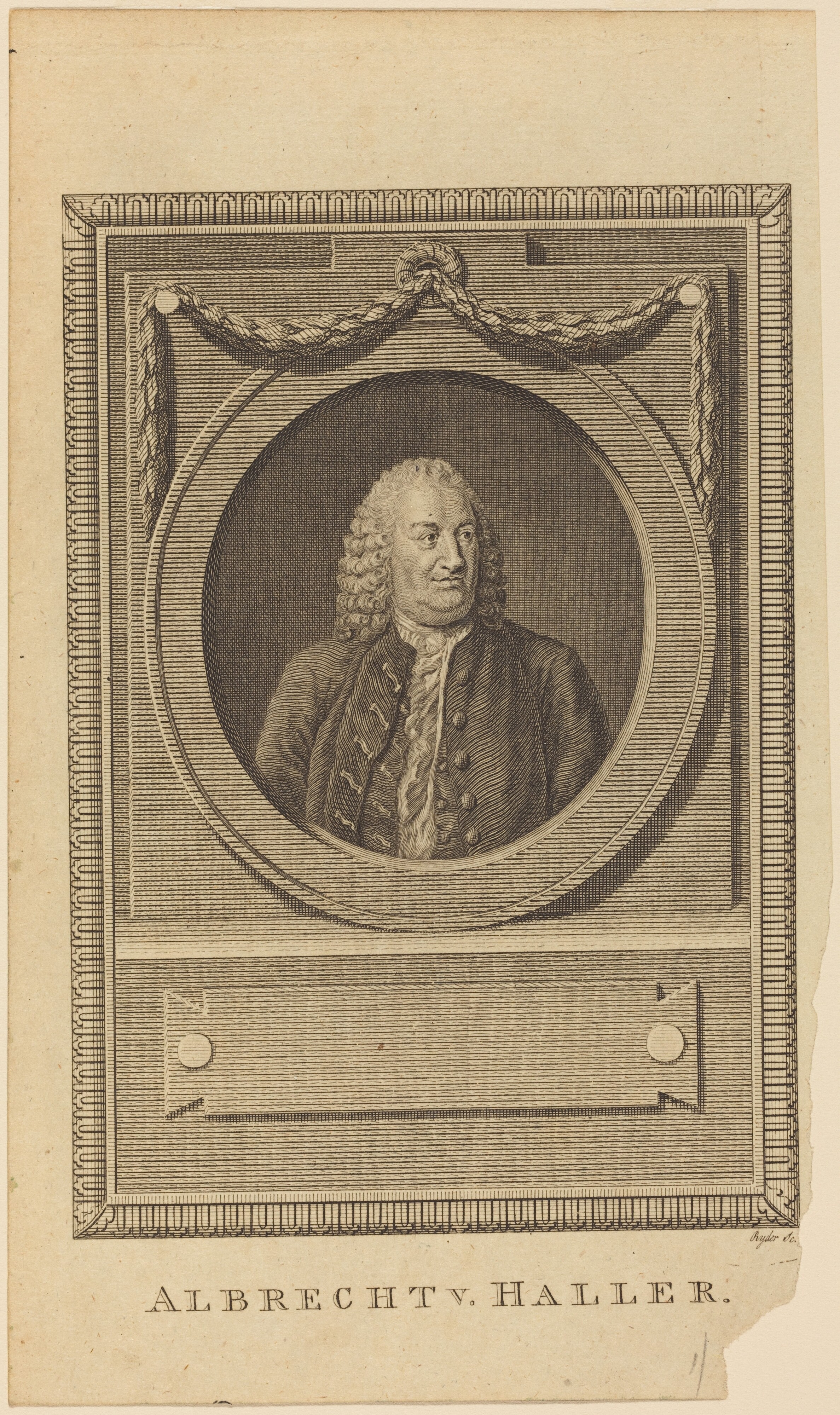 Albrecht V. Haller