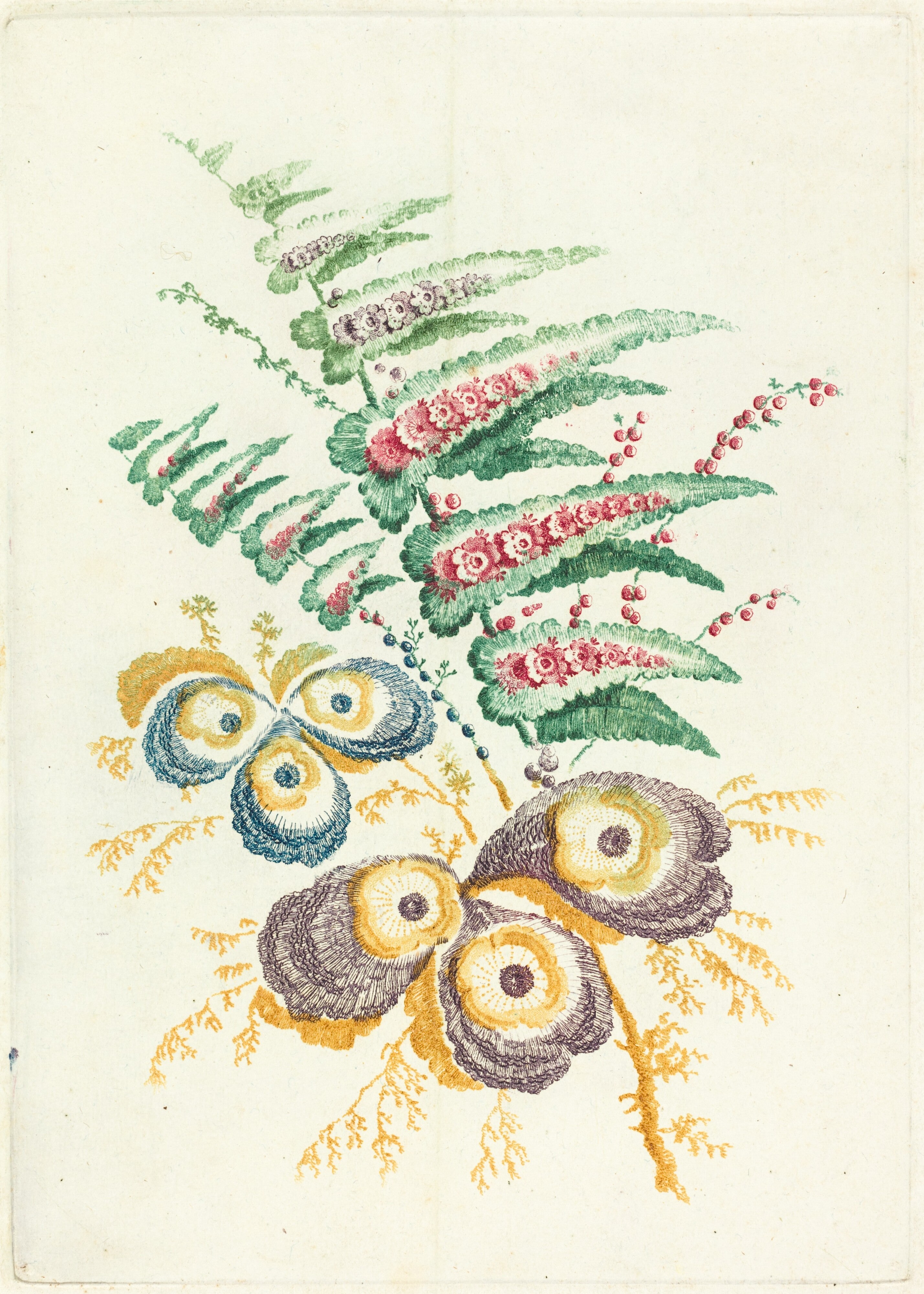 Fantastic Flowers with Oyster-shell Blossoms