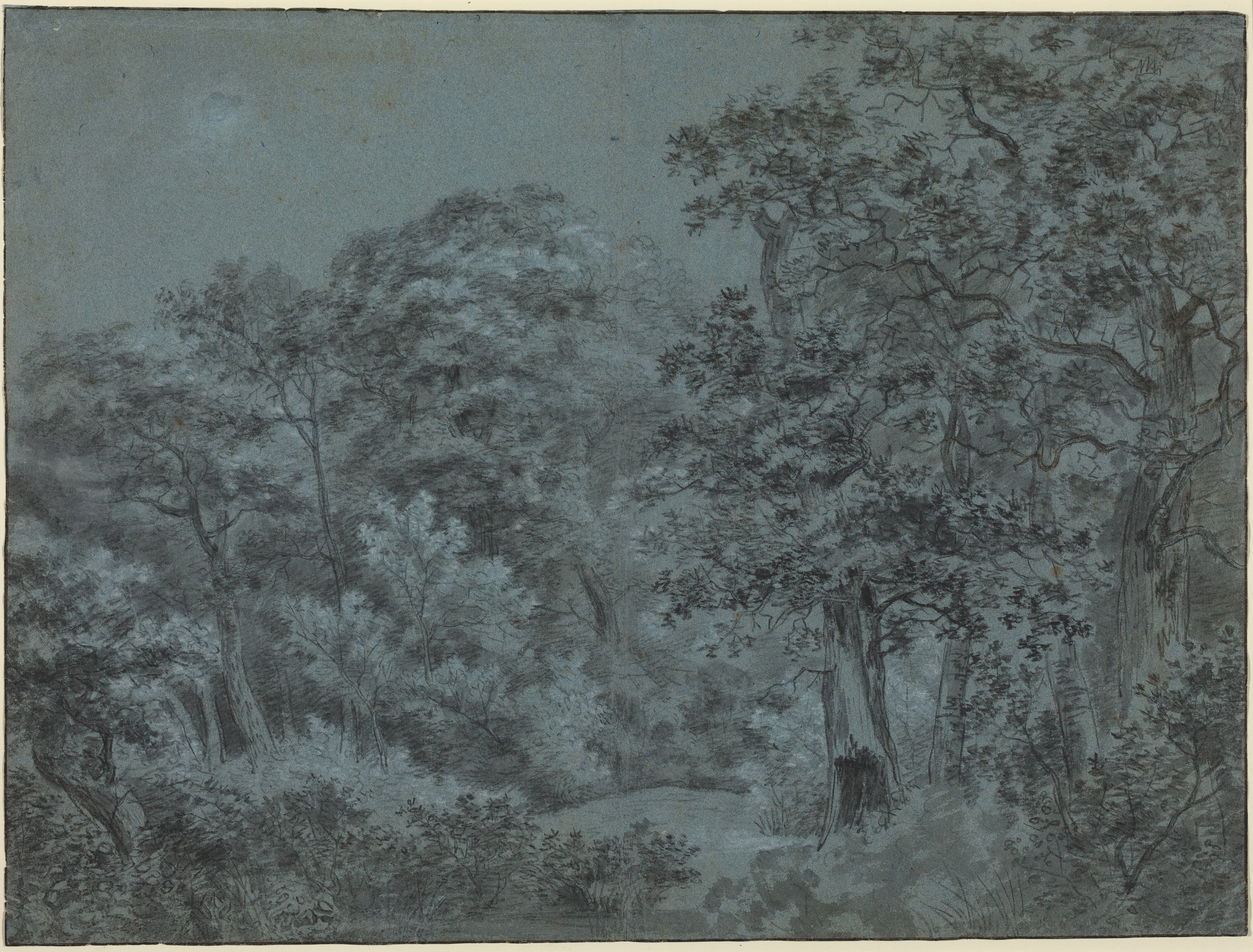 In the Hague Woods