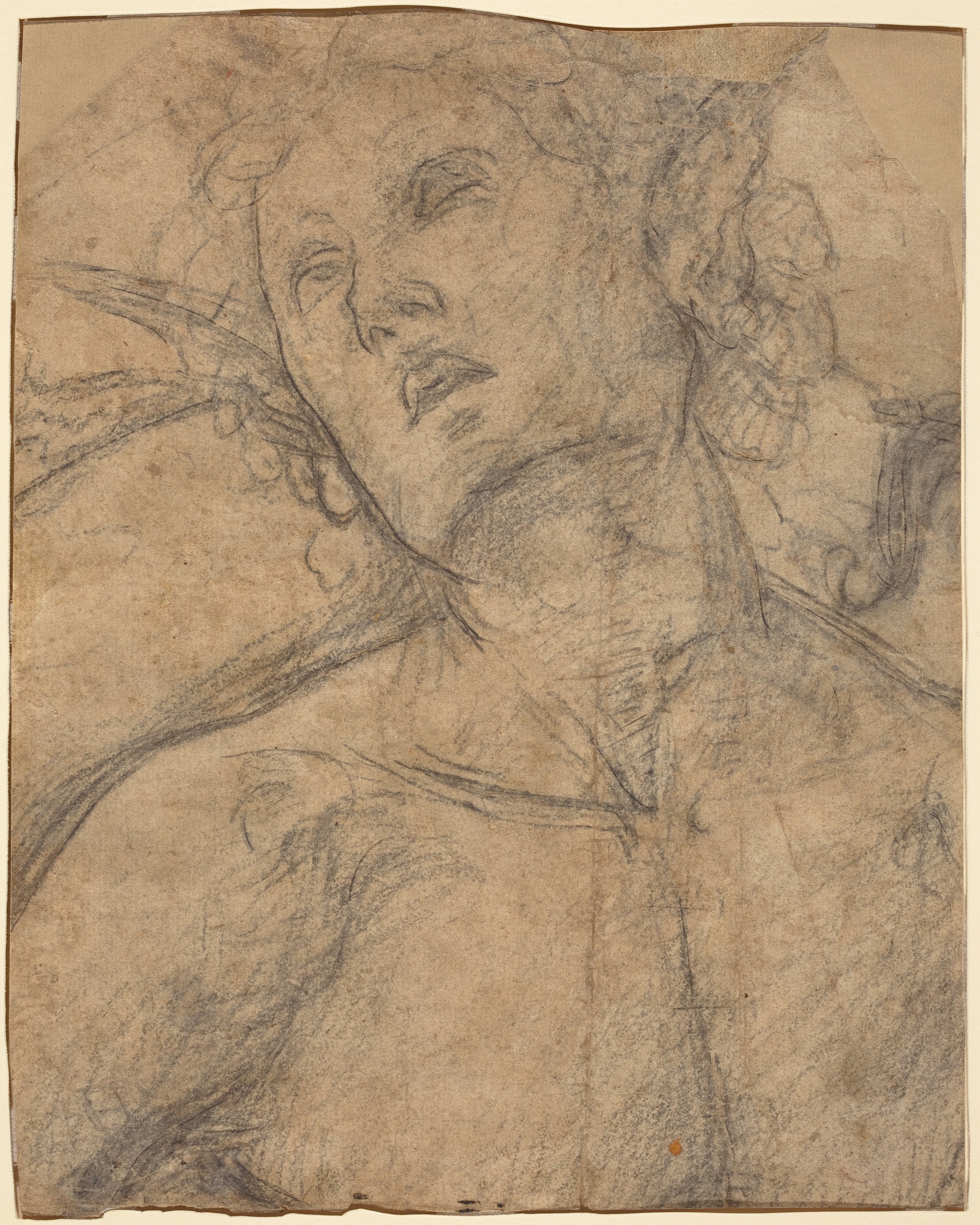 Bust of a Youth Looking Upward [recto]