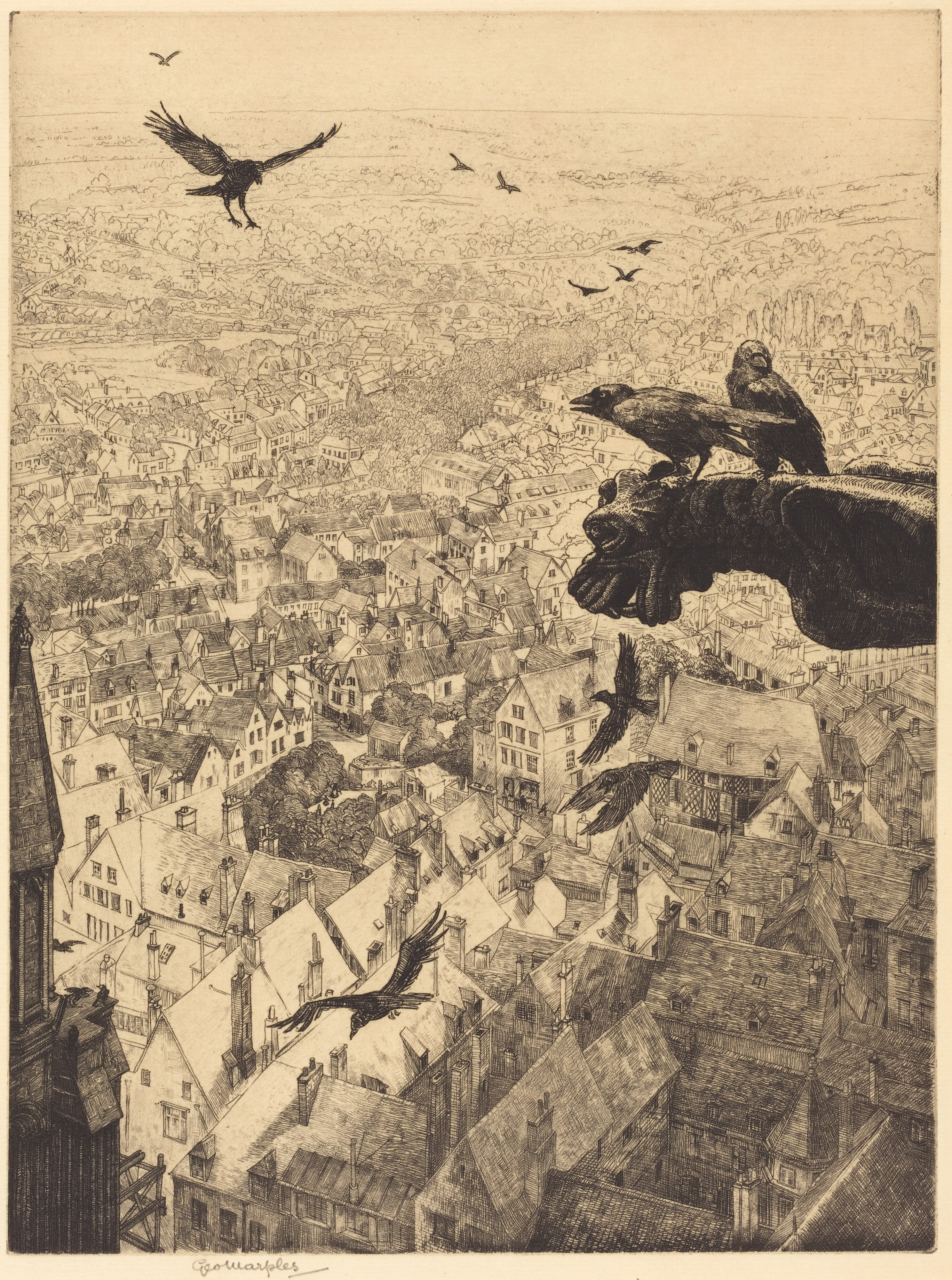 Jackdaws of Chartres