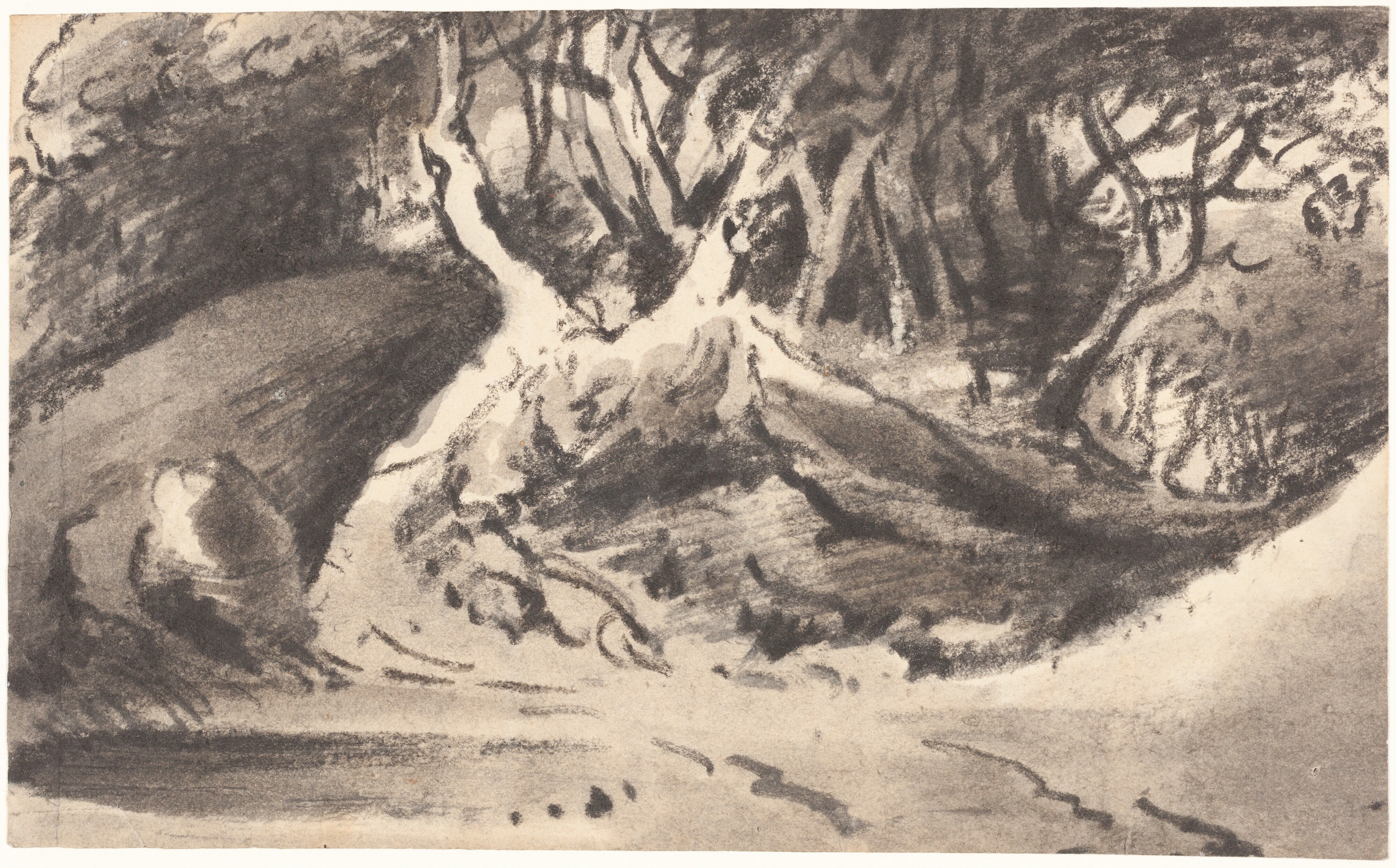 Wooded Landscape